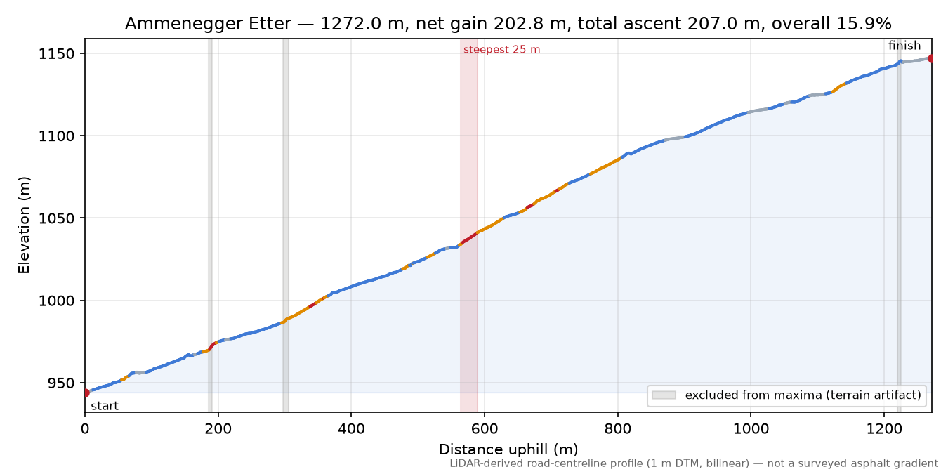 Ammenegger Etter elevation profile