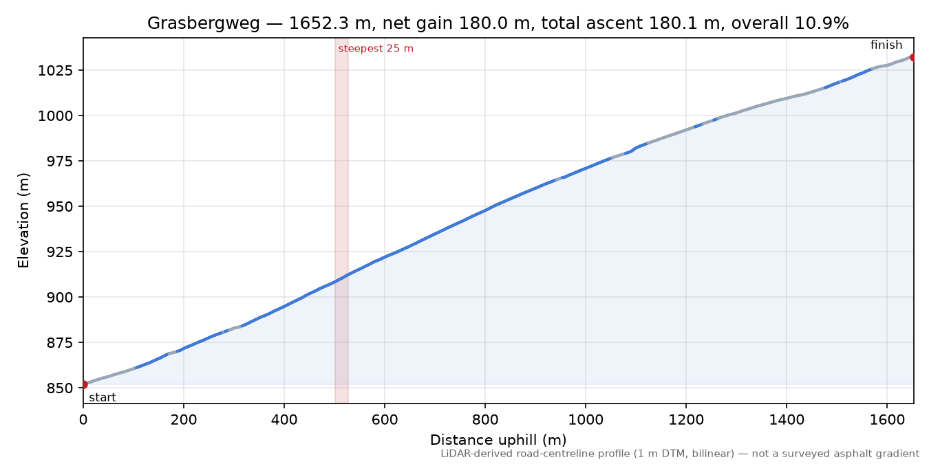 Grasbergweg elevation profile