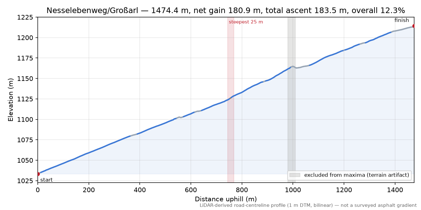 Nesselebenweg/Großarl elevation profile