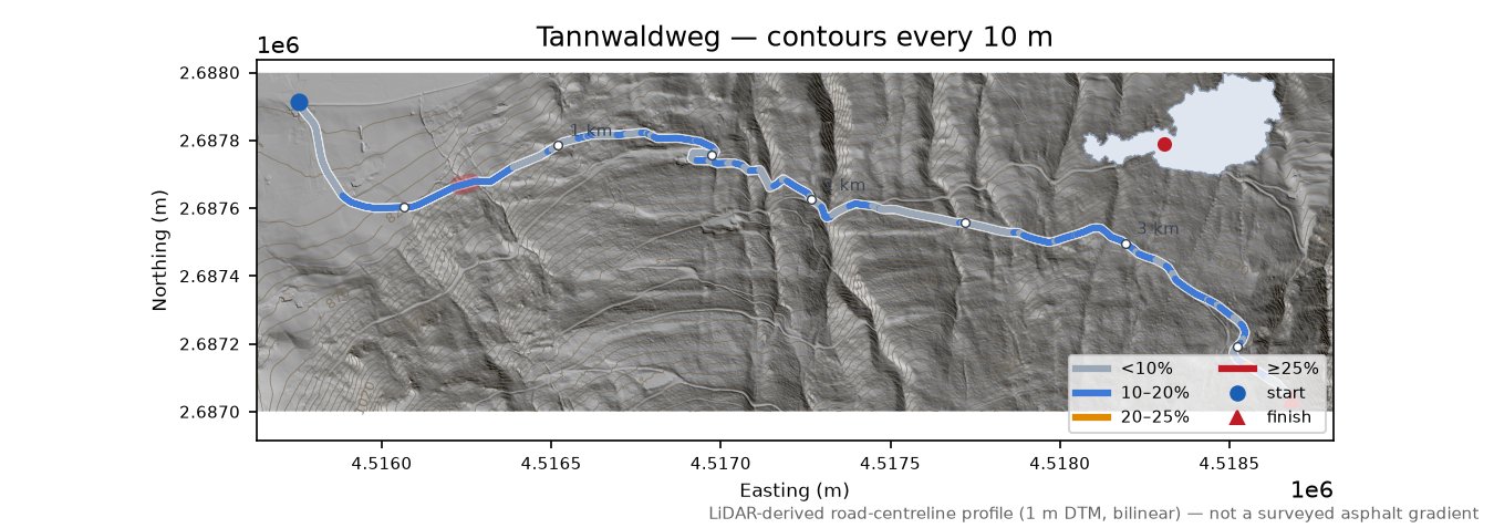 Tannwaldweg LiDAR hillshade map with contours