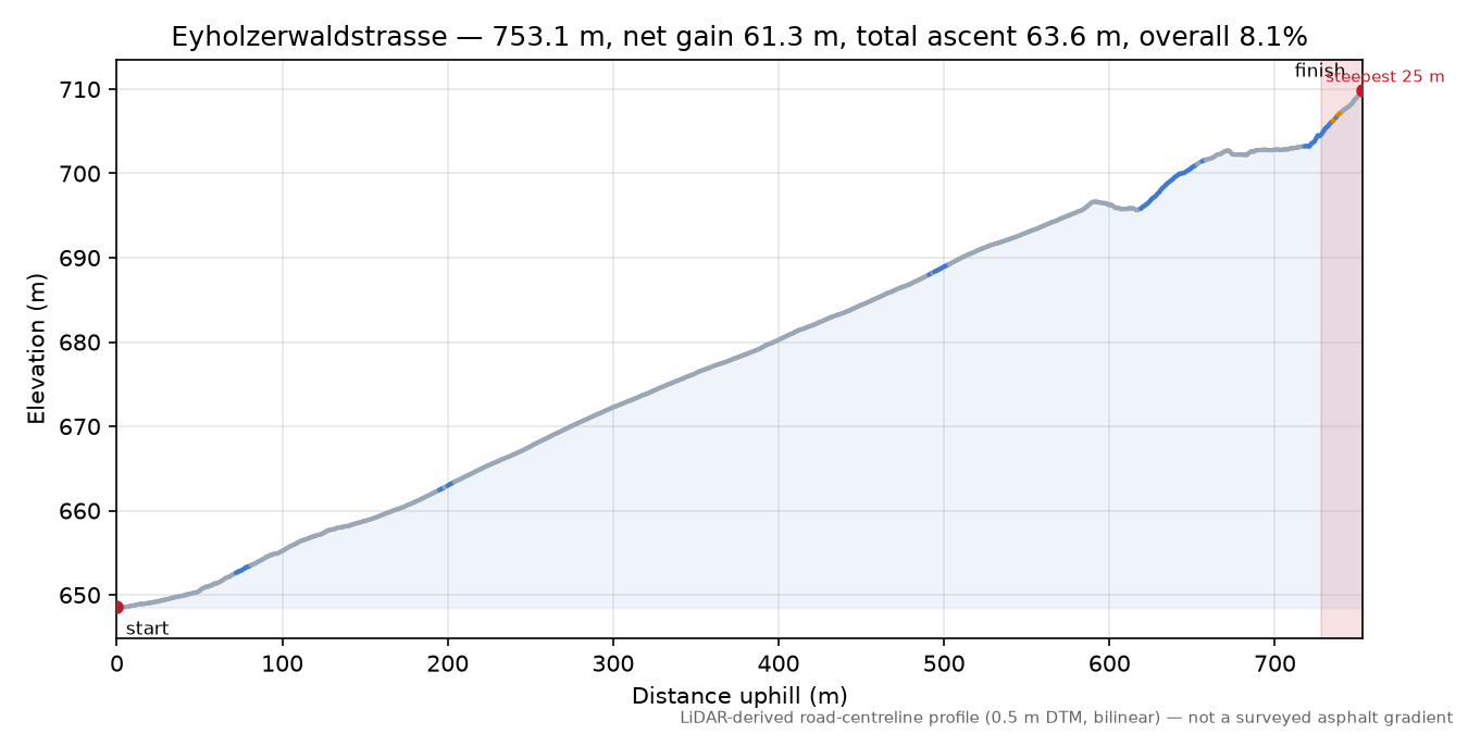Eyholzerwaldstrasse elevation profile