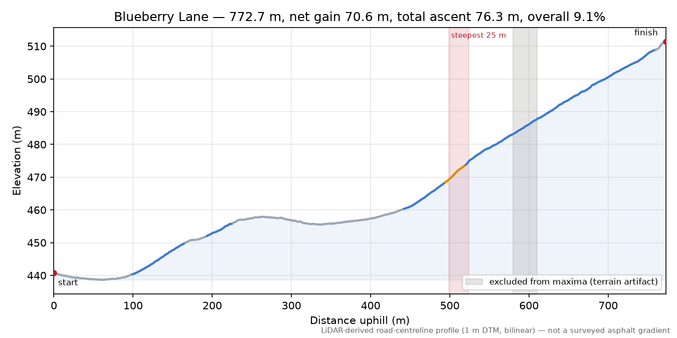 Blueberry Lane elevation profile