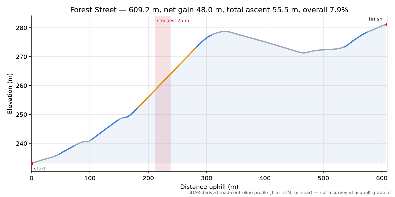 Forest Street elevation profile