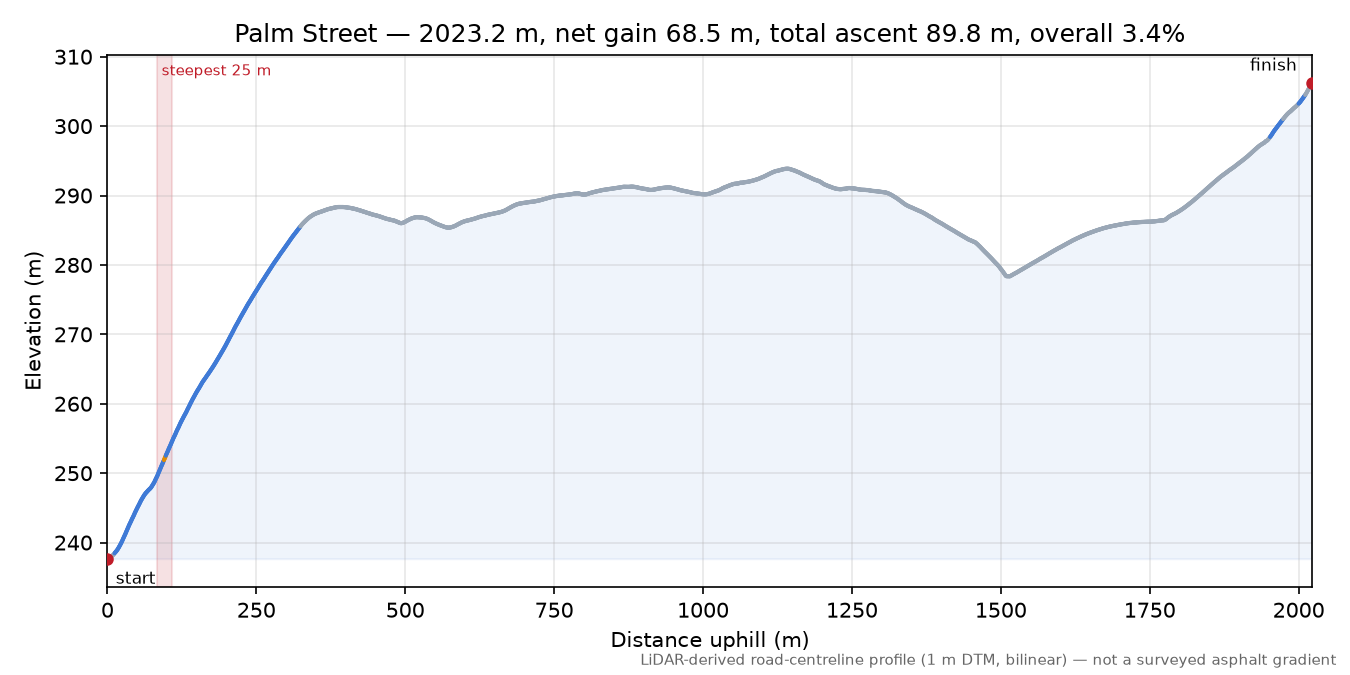 Palm Street elevation profile