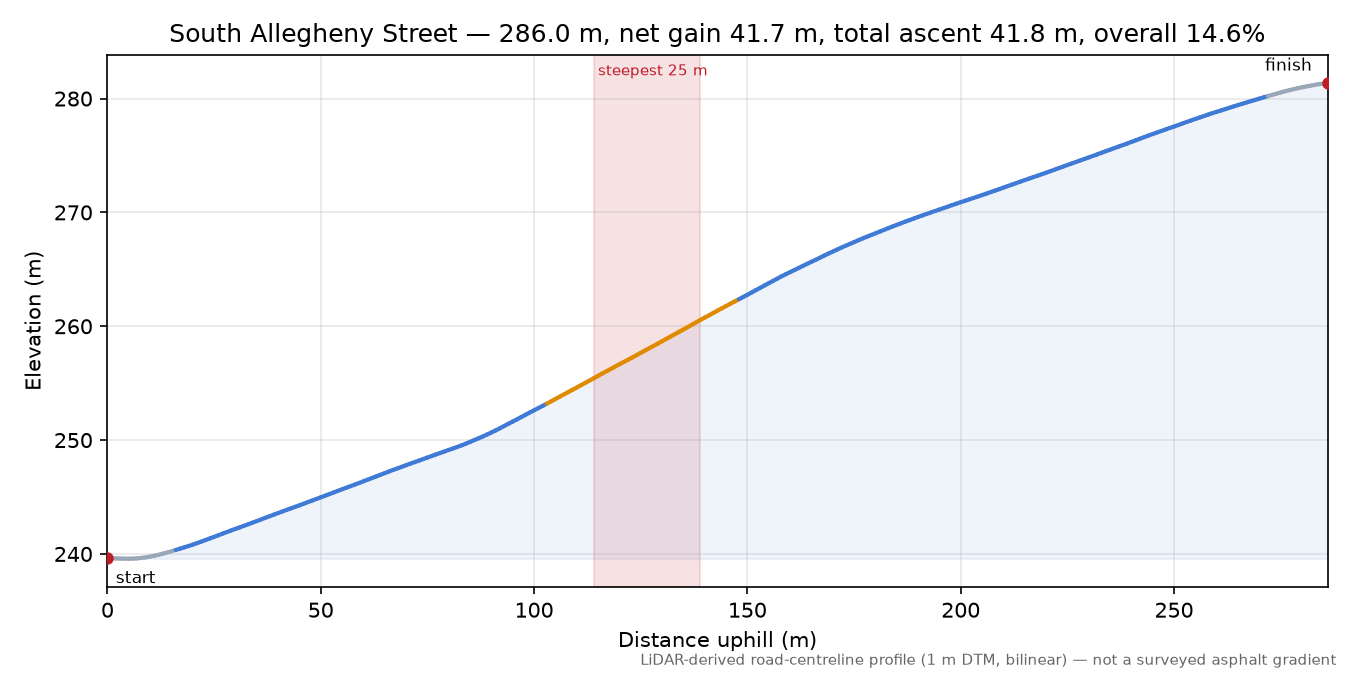 South Allegheny Street elevation profile