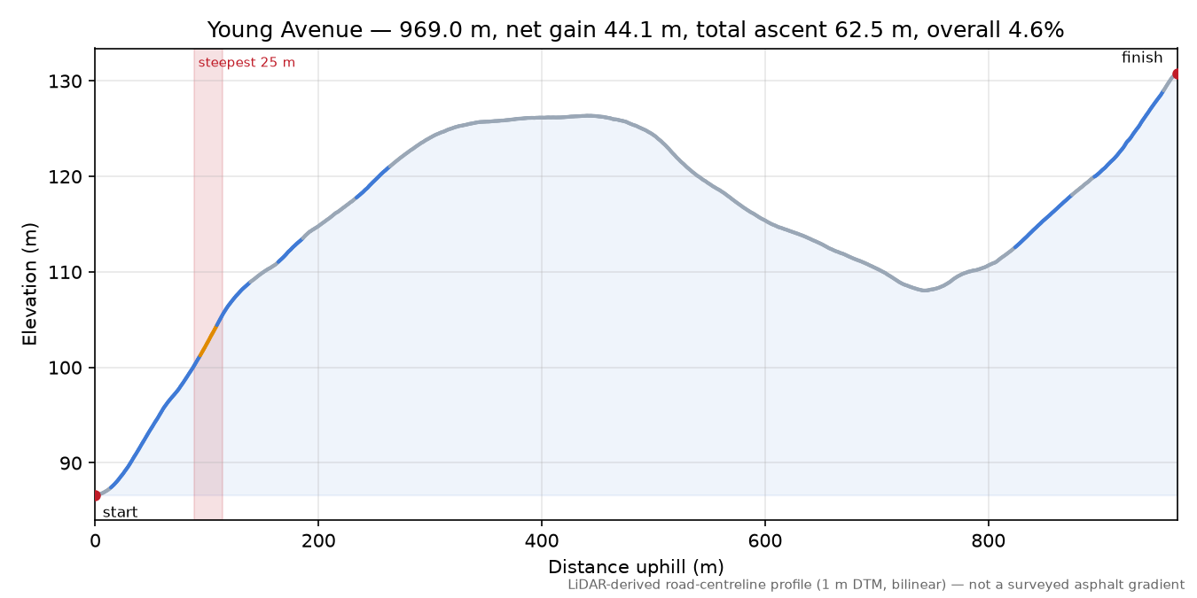 Young Avenue elevation profile